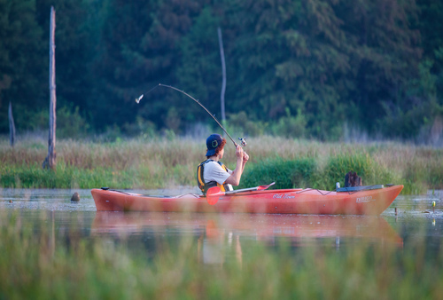 Cypress Black Bayou - kayak fishing
